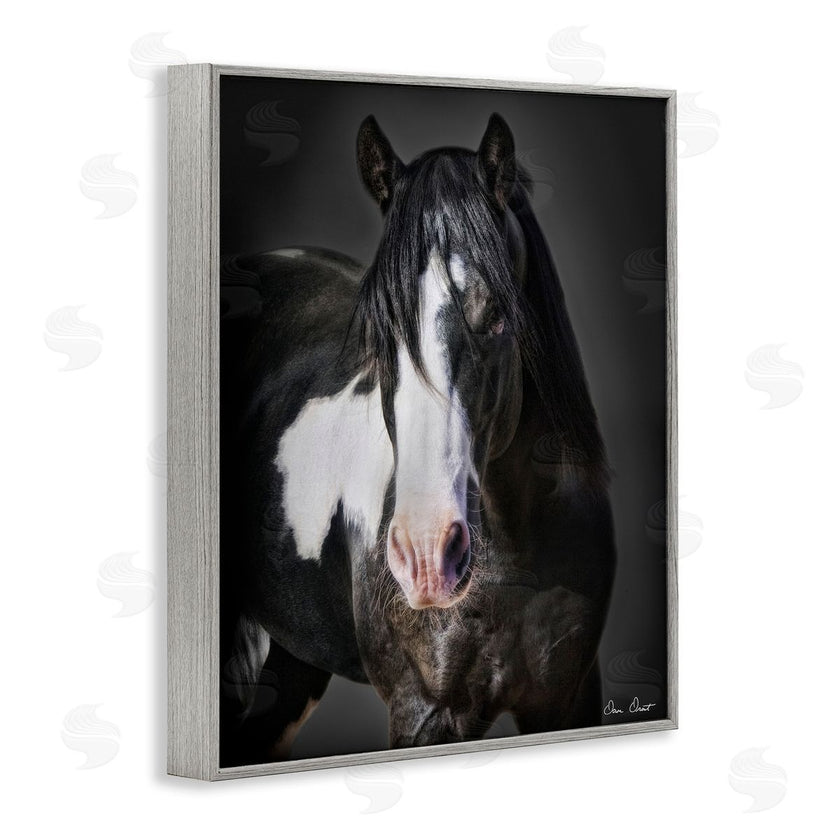 David Drost | Black & White Horse
