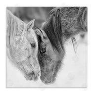 PH Burchett | Horse Hug Photography