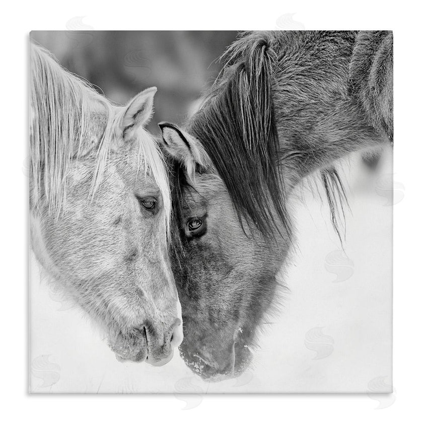 PH Burchett | Horse Hug Photography