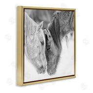 PH Burchett | Horse Hug Photography