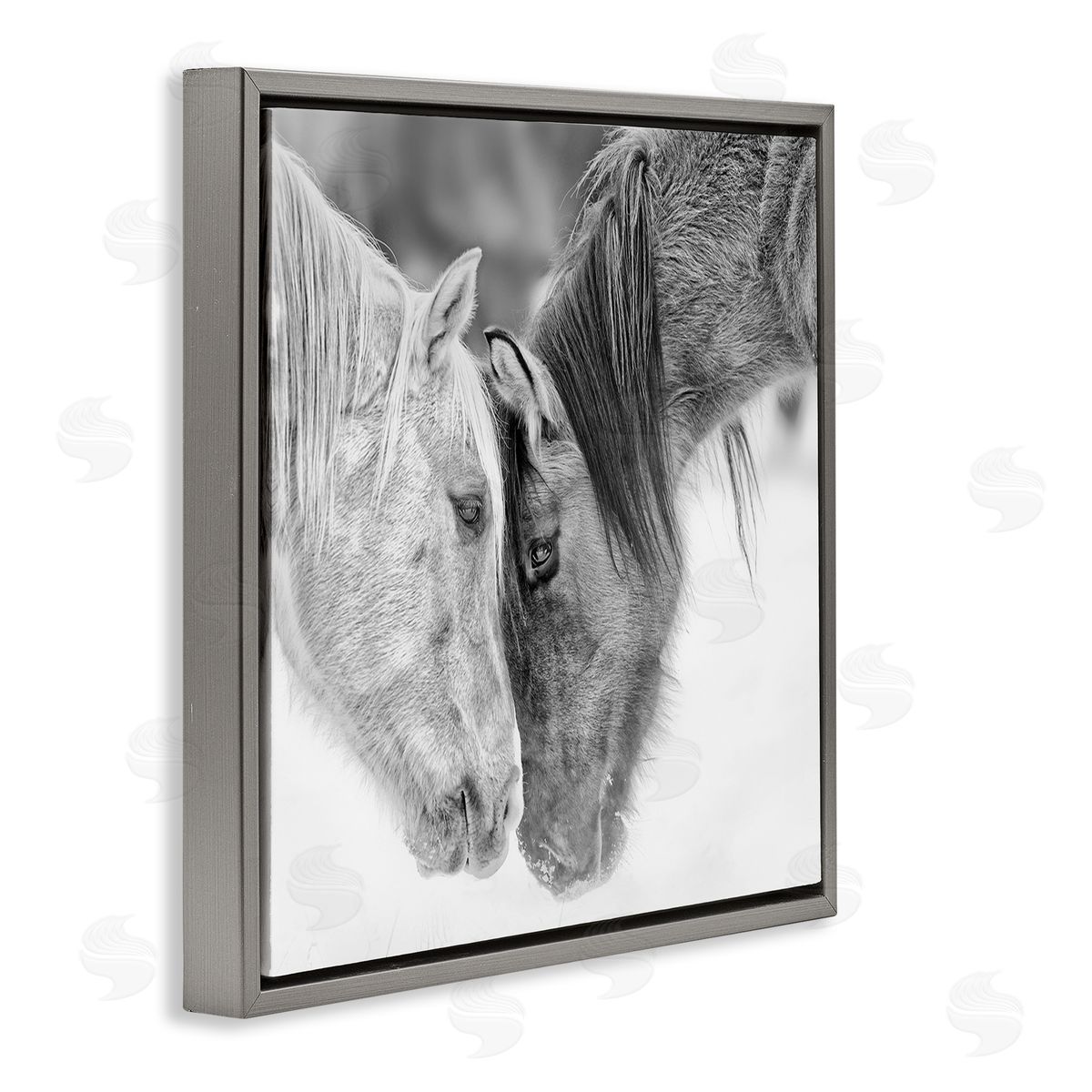 PH Burchett | Horse Hug Photography