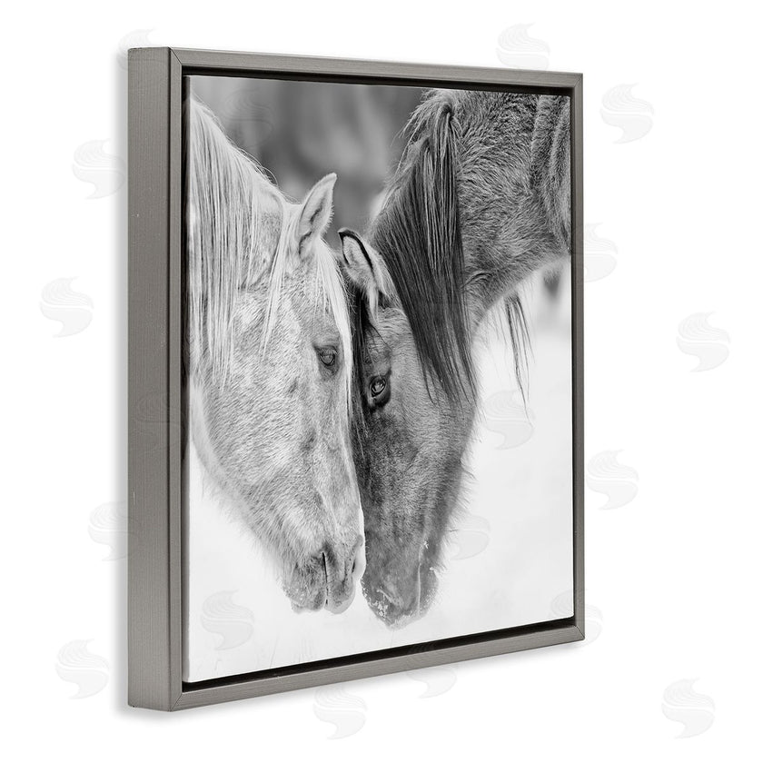 PH Burchett | Horse Hug Photography