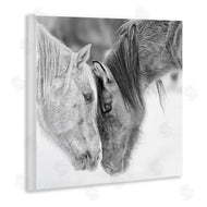 PH Burchett | Horse Hug Photography
