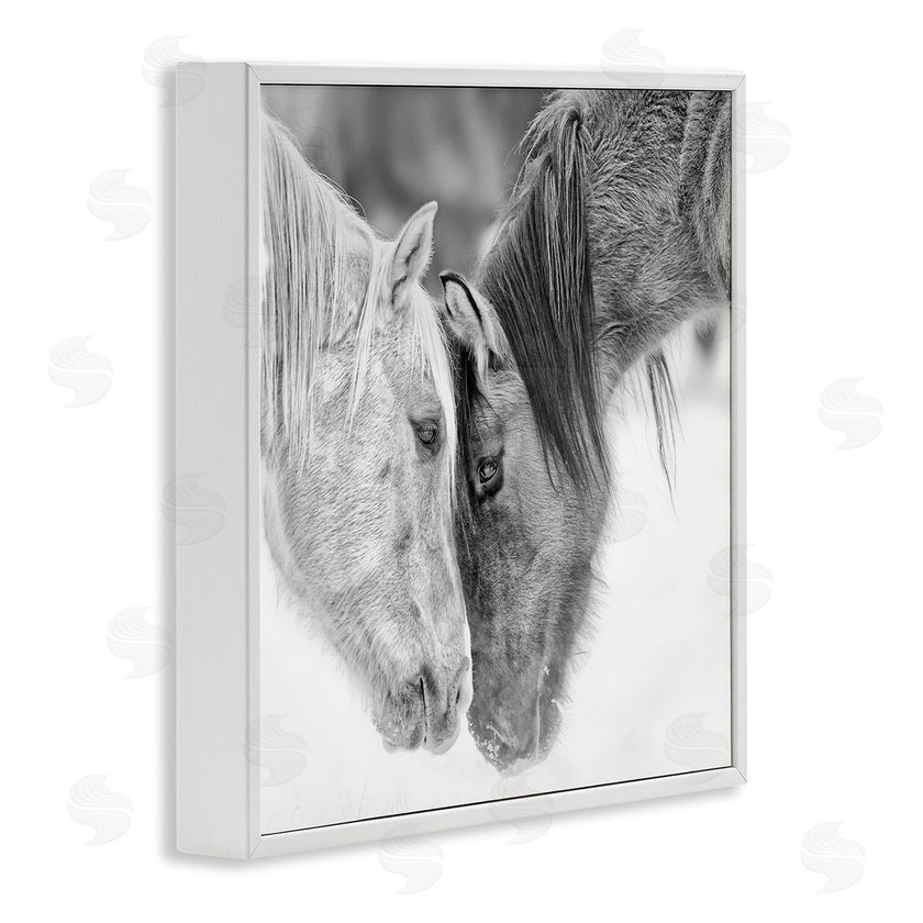 PH Burchett | Horse Hug Photography