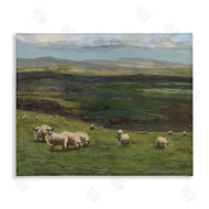 Michael Willett | Flock of Sheep Grazing