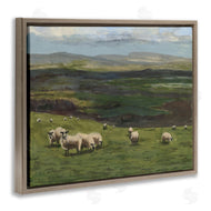 Michael Willett | Flock of Sheep Grazing
