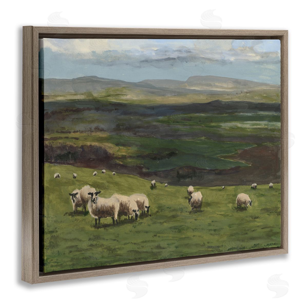 Michael Willett | Flock of Sheep Grazing