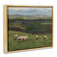 Michael Willett | Flock of Sheep Grazing