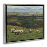Michael Willett | Flock of Sheep Grazing