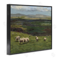 Michael Willett | Flock of Sheep Grazing