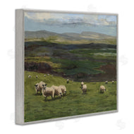 Michael Willett | Flock of Sheep Grazing