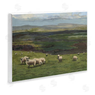 Michael Willett | Flock of Sheep Grazing