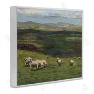 Michael Willett | Flock of Sheep Grazing