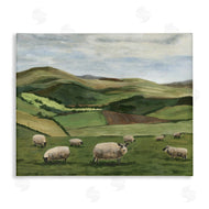 Michael Willett | Countryside Sheep Grazing