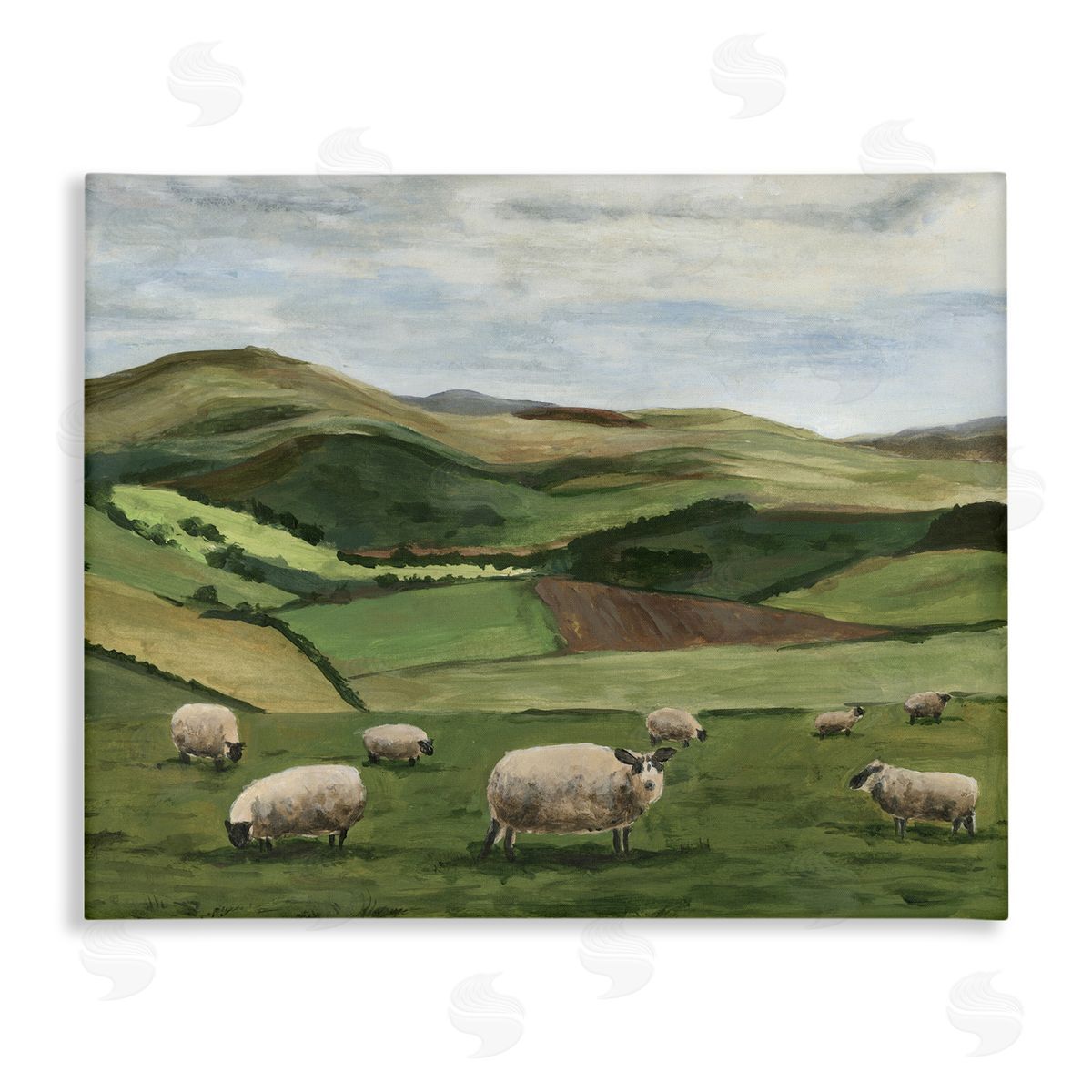 Michael Willett | Countryside Sheep Grazing