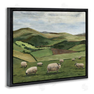 Michael Willett | Countryside Sheep Grazing