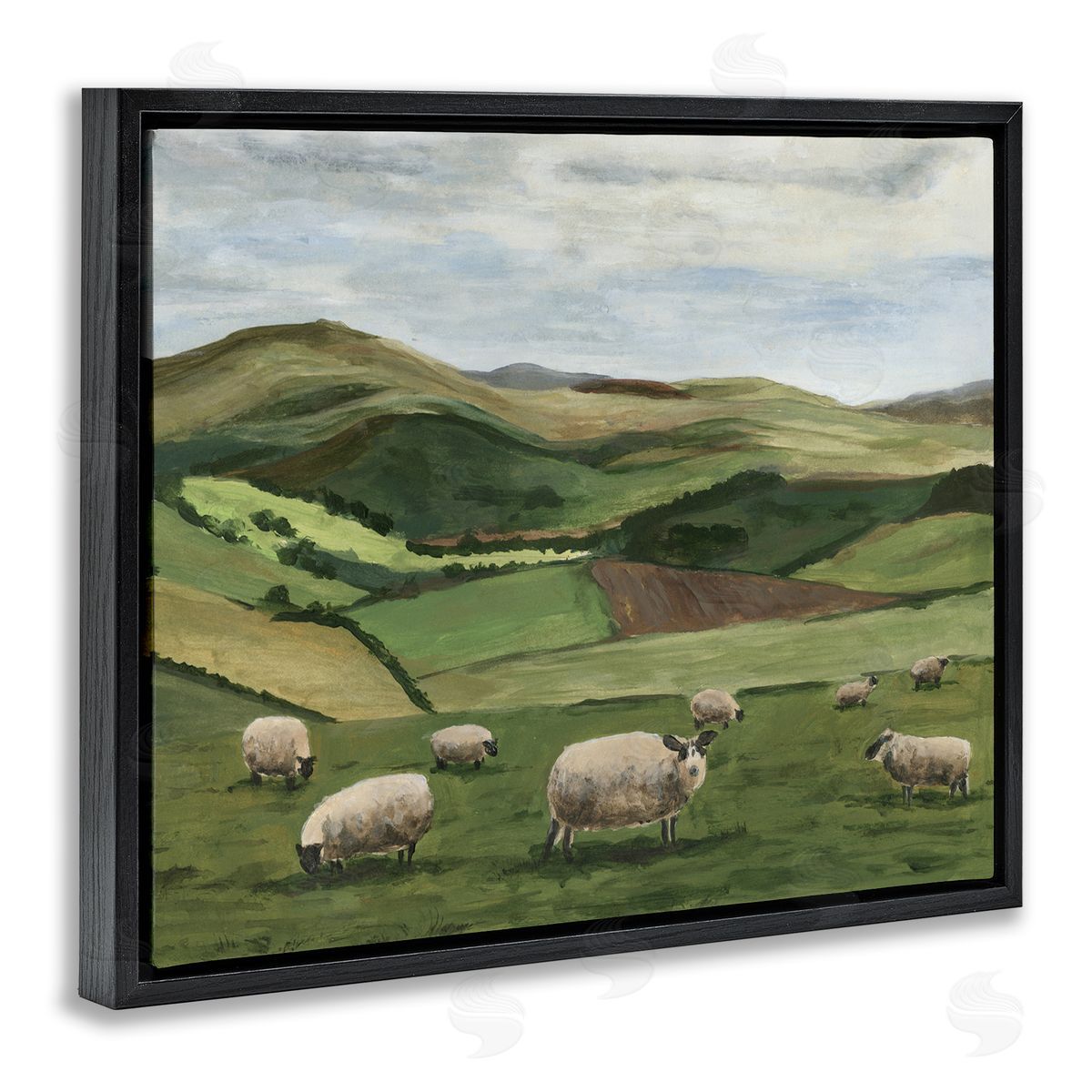 Michael Willett | Countryside Sheep Grazing