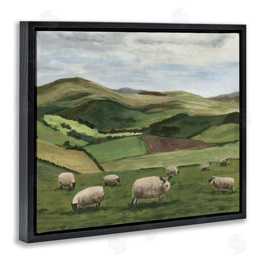 Michael Willett | Countryside Sheep Grazing