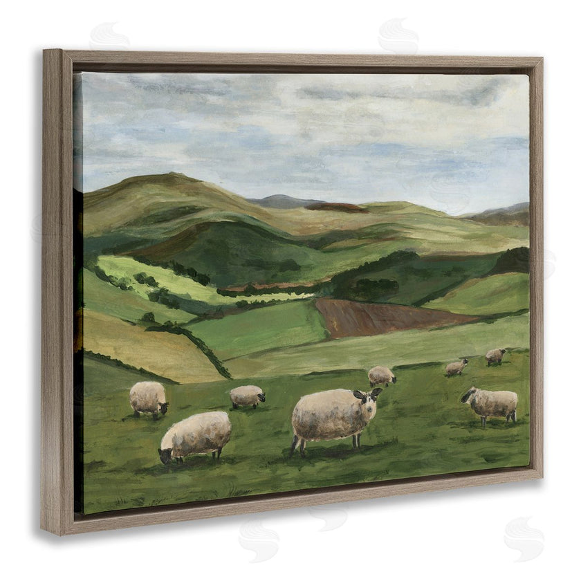 Michael Willett | Countryside Sheep Grazing