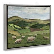 Michael Willett | Countryside Sheep Grazing