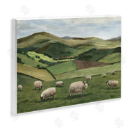 Michael Willett | Countryside Sheep Grazing