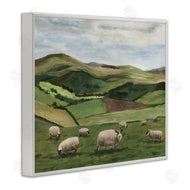 Michael Willett | Countryside Sheep Grazing