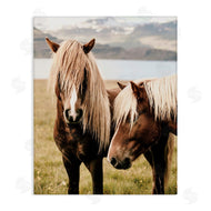 Krista Broadway | Brown Horse Duo