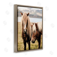 Krista Broadway | Brown Horse Duo