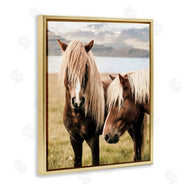 Krista Broadway | Brown Horse Duo