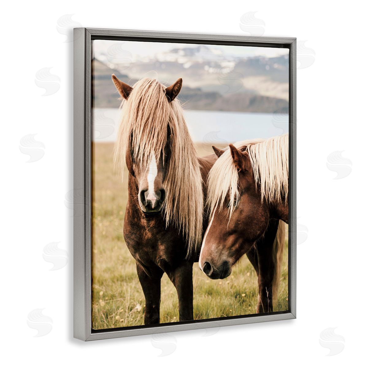 Krista Broadway | Brown Horse Duo