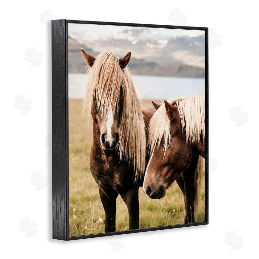 Krista Broadway | Brown Horse Duo