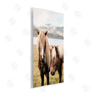 Krista Broadway | Brown Horse Duo