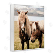 Krista Broadway | Brown Horse Duo