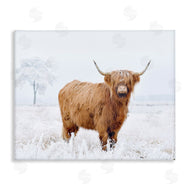 Krista Broadway | Highland Cow in Snow