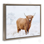 Krista Broadway | Highland Cow in Snow
