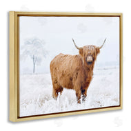 Krista Broadway | Highland Cow in Snow