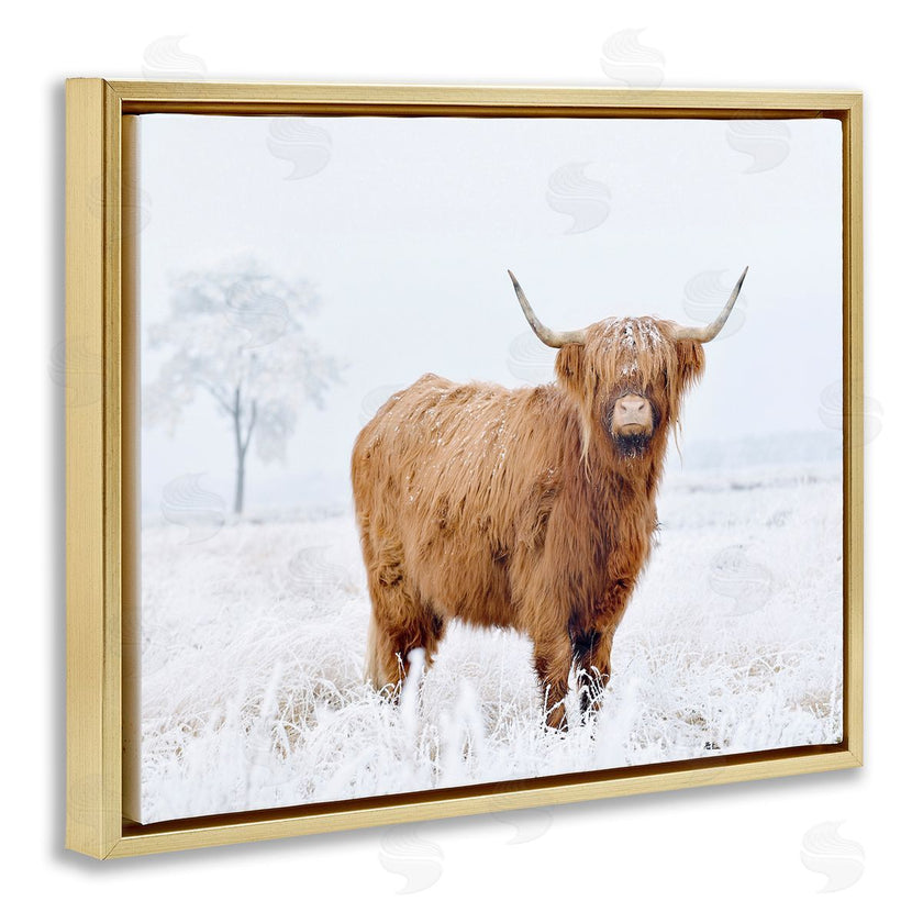 Krista Broadway | Highland Cow in Snow
