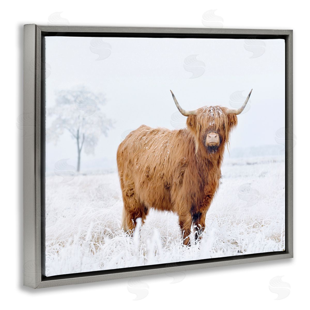 Krista Broadway Highland Cow in Snow Gray Floater Frame Canvas Artside_