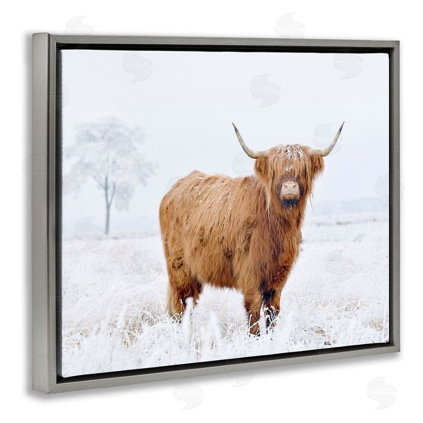 Krista Broadway | Highland Cow in Snow