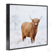 Krista Broadway | Highland Cow in Snow
