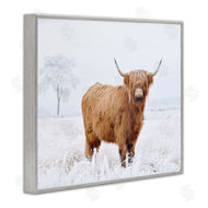 Krista Broadway | Highland Cow in Snow