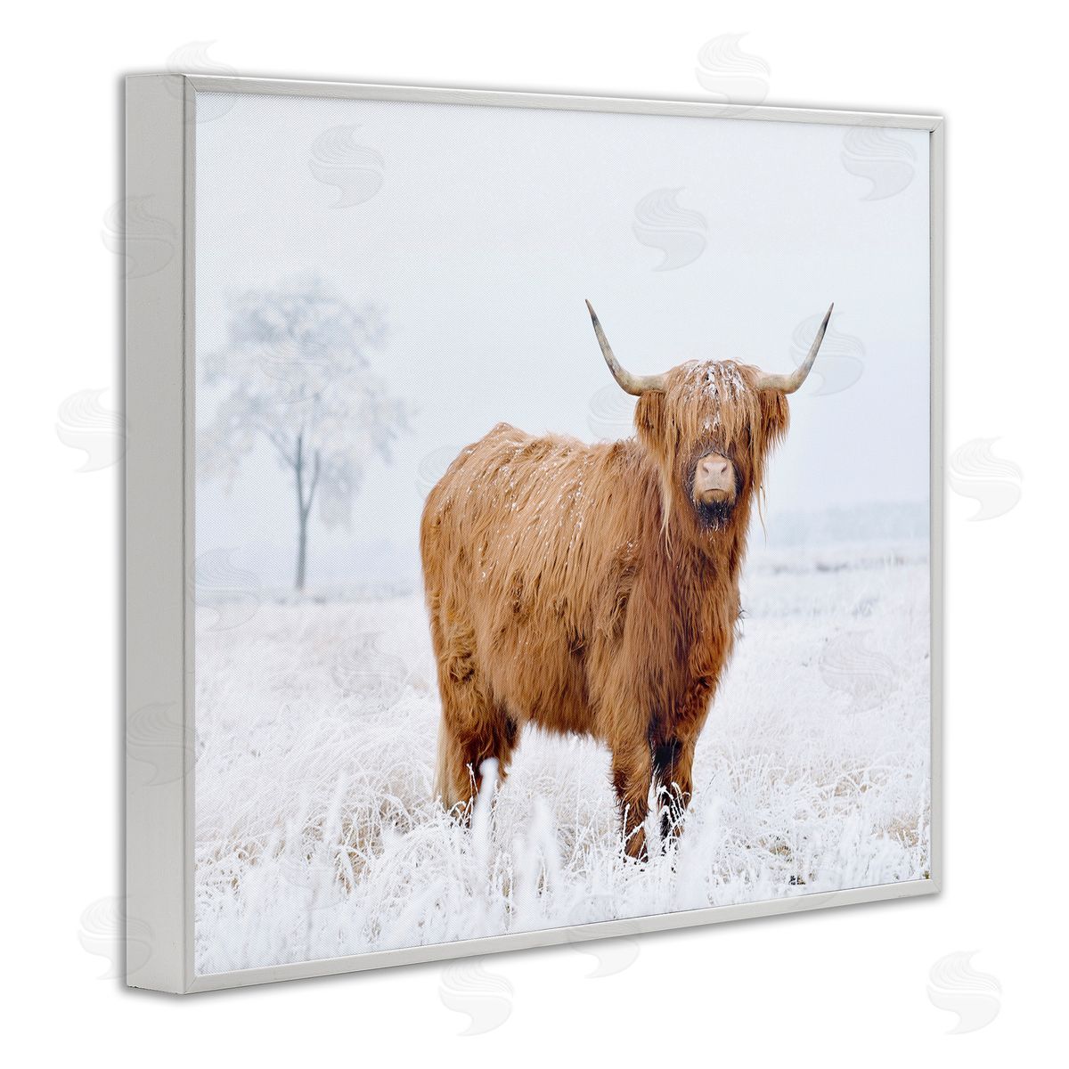 Krista Broadway Highland Cow in Snow White Framed Giclee Wall Artside_