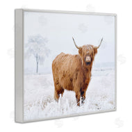 Krista Broadway | Highland Cow in Snow