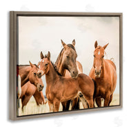 Krista Broadway | Horse & Foals Photography