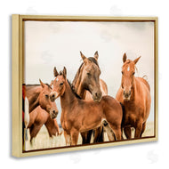 Krista Broadway | Horse & Foals Photography