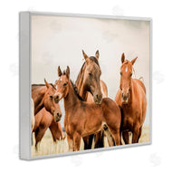 Krista Broadway | Horse & Foals Photography