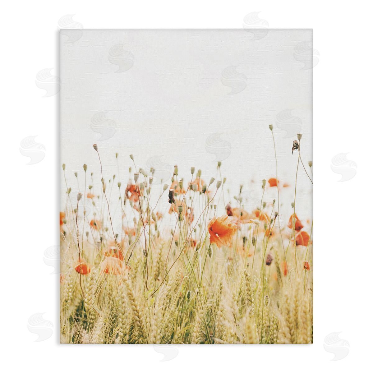 Poppy Field Photography Canvas Wall Art, Home Decor by Krista Broadway