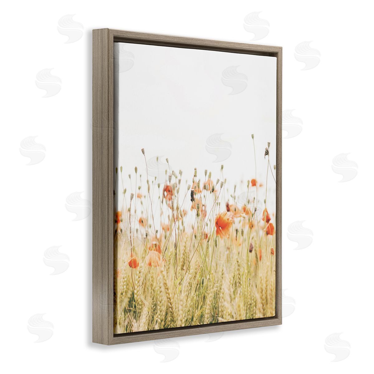 Poppy Field Photography Brown Floating Frame Canvas Wall Art, Home Decor by Krista Broadway