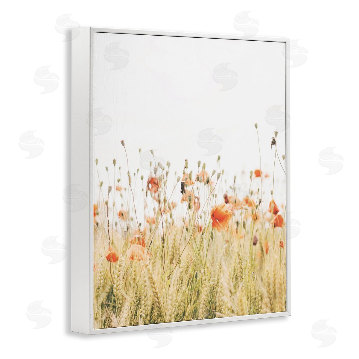 Poppy Field Photography White Frame Print Wall Art, Home Decor by Krista Broadway