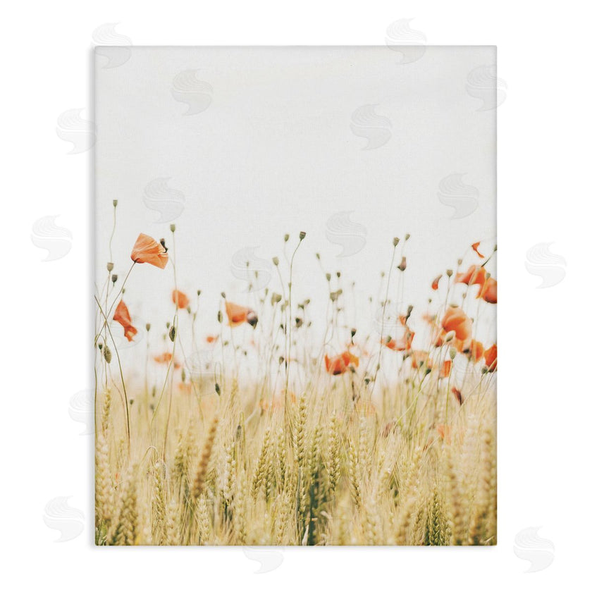 Krista Broadway | Rural Poppy Meadow